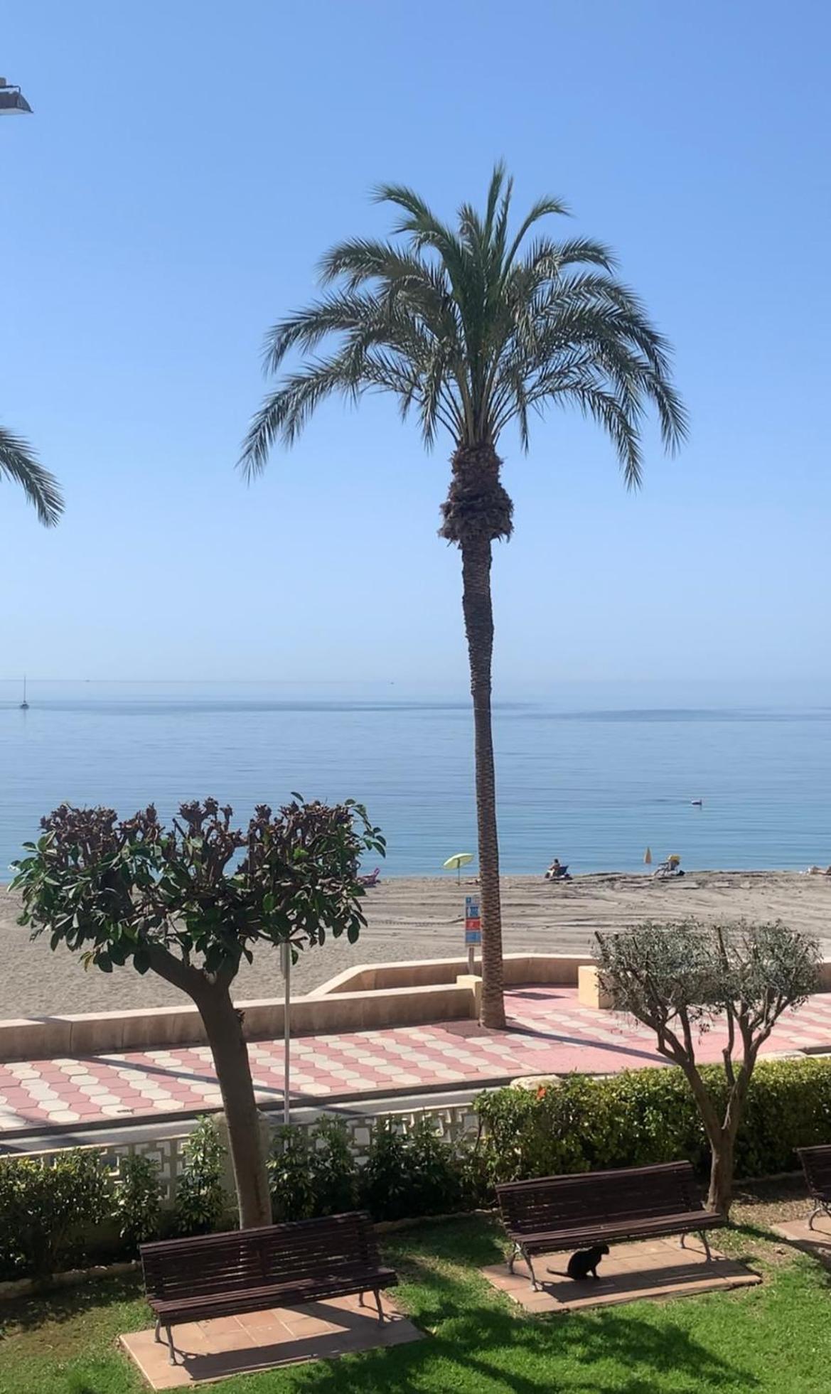 Brisas Del Mar Mediterraneo Aguadulce  Εξωτερικό φωτογραφία